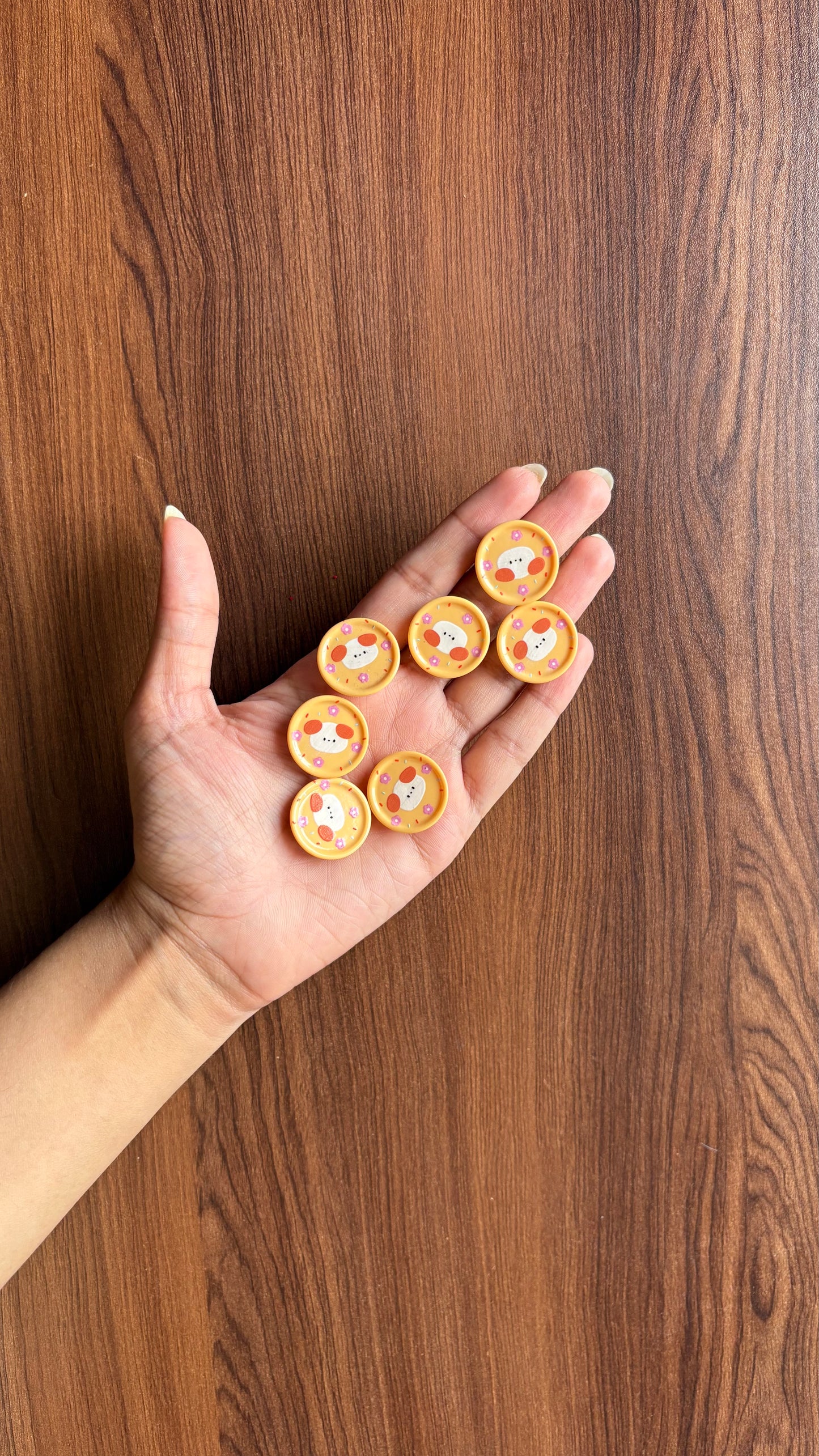 Teddy Plate 1 piece Toy