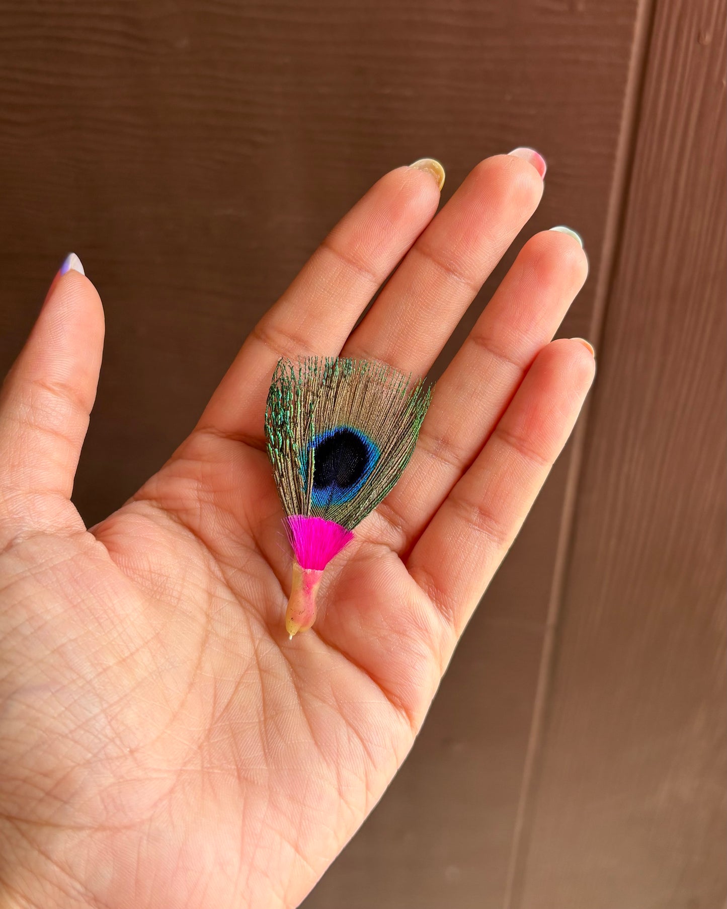 Morpankh : Thakur ji ka Priye🦚 S11